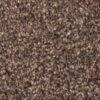 Stainsafe Moorland Twist 880