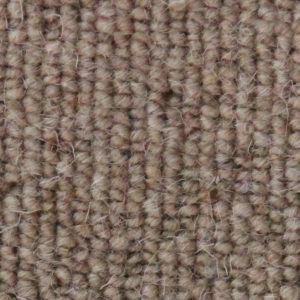 Auckland Linear Wheat 291