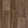 Forest Copper Oak