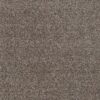 Heathertwist Supreme 40oz Fawn 201