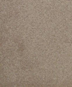 Leonis Sarabi Sea Shell 680