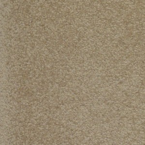 Leonis Sarabi Wheat Field 640