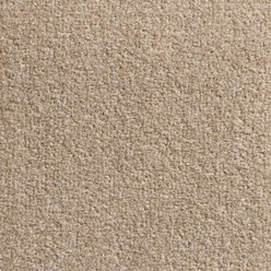 REVOLUTION 75 RAFFIA