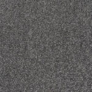 Stainsafe Shepherd Twist. Raven_980