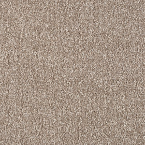 STARTWIST EDITION 281-Walnut