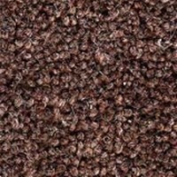 Developer Twist Super, Nutmeg