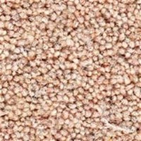 Dorset Twist Sand