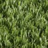Lavish-Lawns-Glade-swatch
