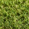 Lavish-Lawns-Regal-Swatch