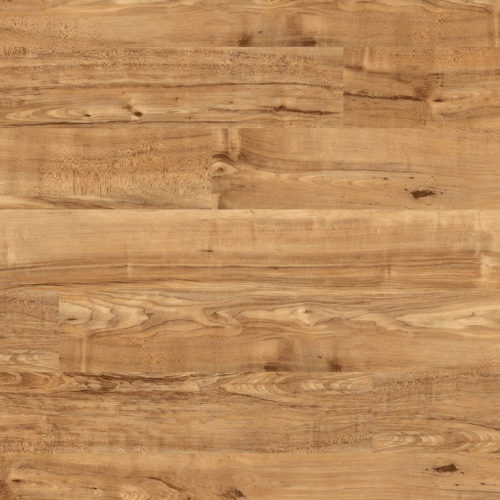 POLYFLOR CAMARO NUT TREE
